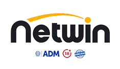 Netwin logo